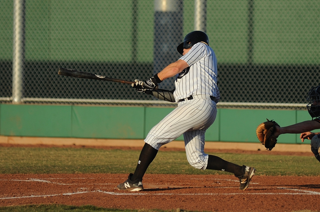 Seals_2019-08-23 (351).JPG - (c)2010 DeVetter